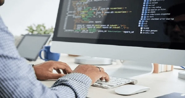 Web - Basic